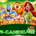 528cpf Gaming VIP