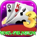 778pix - Gaming Premium