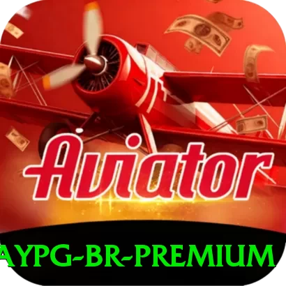 baypg BR Premium - 👉 apk